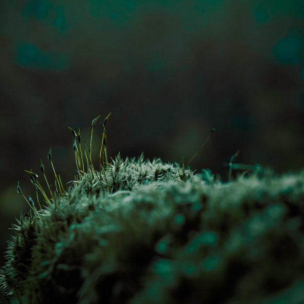 午后窗边的校对场景，编辑手持打印稿在柔光下圈出待改表述，桌面放着记录更新日期的编辑手账